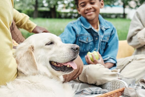 a boy and his family sitting on the grass with their dog