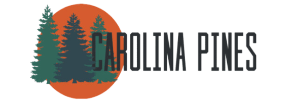 an orange circle with trees in the middle and the words bonfires on a black background