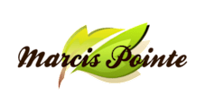 A logo with the name "Marcus Pointe" written in a cursive font.