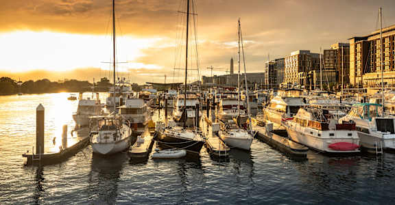 Neighborhood with marina at Reflections at the Wharf, Washington