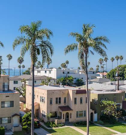 a view of a neighborhood with palm trees and the ocean in the background