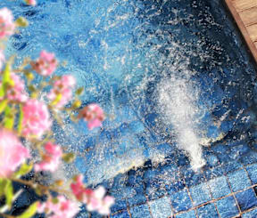 a blue pool with pink flowers on the side