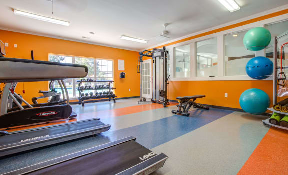 a workout room with treadmills and weights at the enclave at woodbridge apartments in sugar