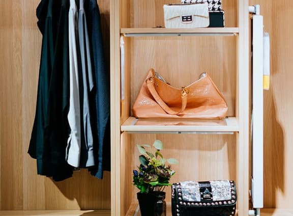 closet space at Willow Springs, Goleta