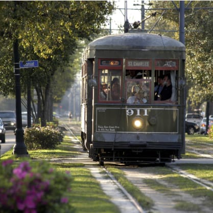 A streetcar with the number 911 on it is driving down a tree-lined street.