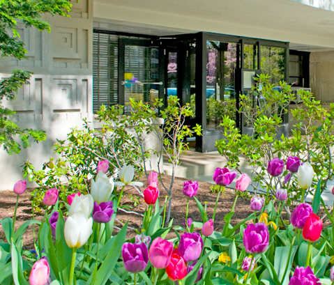 a flower garden in front of a building