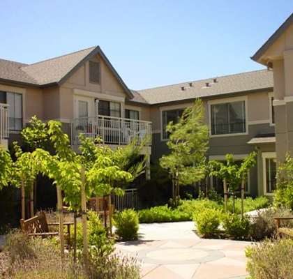 a group of houses with trees and a courtyard