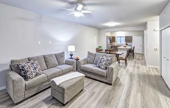 A living room with a grey couch and a white rug.
