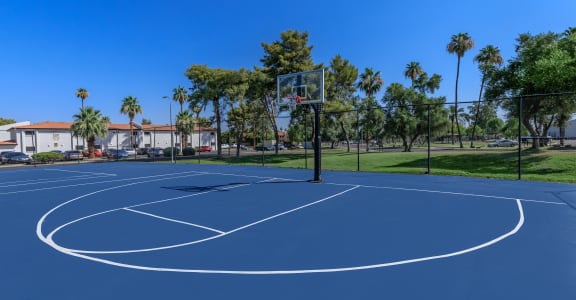 a blue basketball court with a black fence and palm trees in the background
