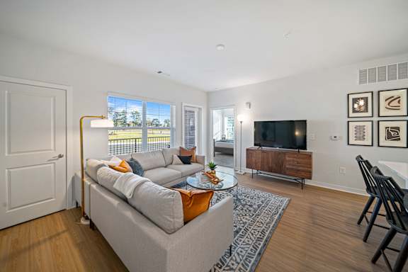 A living room with a grey couch and a television.