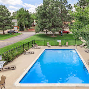 A small pool surrounded by a black fence and trees.
