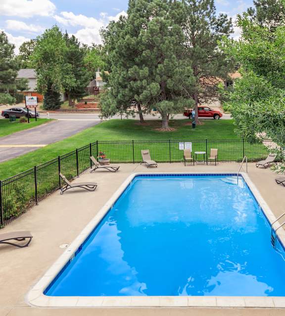 A small pool surrounded by a black fence and trees.