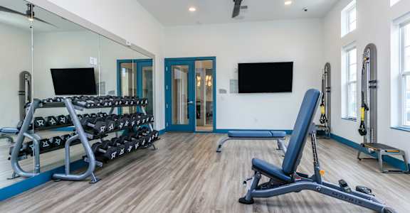 A gym with a row of dumbbells on a rack.