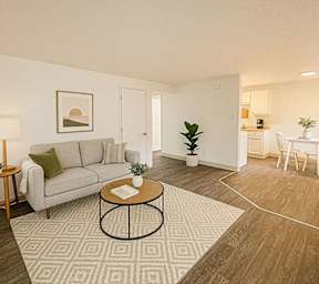 A living room with a grey couch, a coffee table, and a plant.