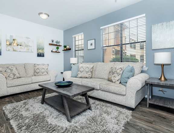 A living room with a grey couch, a coffee table, and a rug.