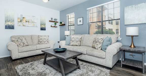 A living room with a grey couch, a coffee table, and a rug.