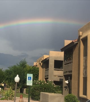 a rainbow over a city with buildings and plants