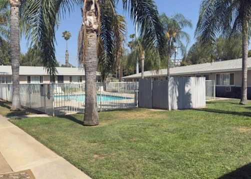 A pool surrounded by a fence and palm trees.