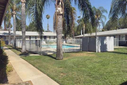A pool surrounded by a fence and palm trees.