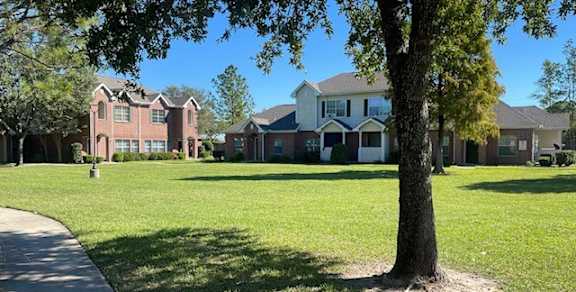A tree stands in a grassy field in front of a row of houses.