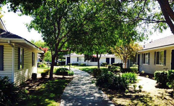 Image of path, and trees and units on both sides
