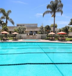 Tara Hill Pool with Lounge Chairs and Hot Tub