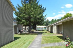 Mature trees on property