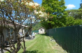 Fence