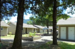 gardens and trees