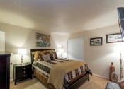 Thumbnail 10 of 18 - Model Apartment Bedroom with Plush Carpet