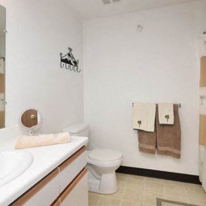 a bathroom with a sink and a toilet and a shower