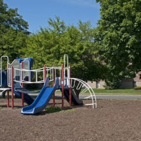 a playground with slides and trees in a park