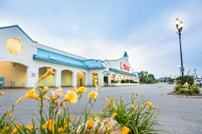 A building with a blue roof and a sign that says "Cinema" in front of some yellow flowers.