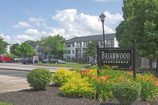 Briarwood Lexington