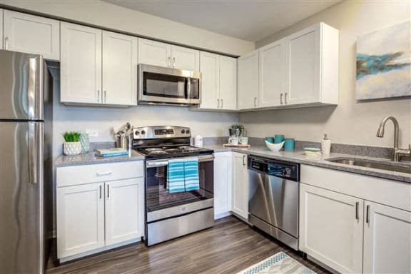 Energy Efficient Appliances In Kitchen at Orion Arlington Lakes, Arlington Heights, Illinois