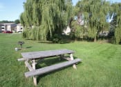 Thumbnail 4 of 34 - Picnic and BBQ Yorkshire Place Apartments
1504 Yorkshire Dr., Howell, MI 48843