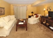 Thumbnail 34 of 34 - Living Room