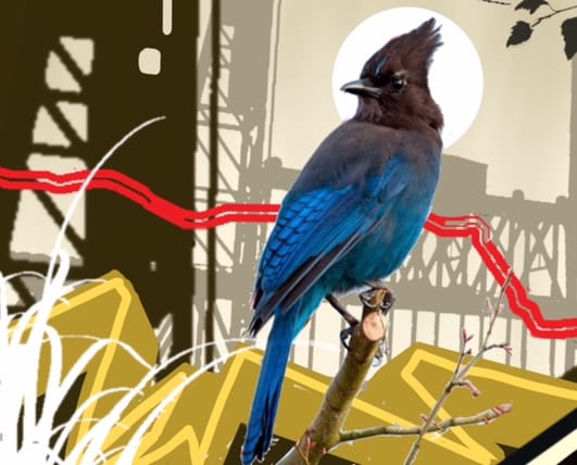 Art drawing of bird at DOCK 59 APARTMENTS, PORTLAND, Oregon, 97209