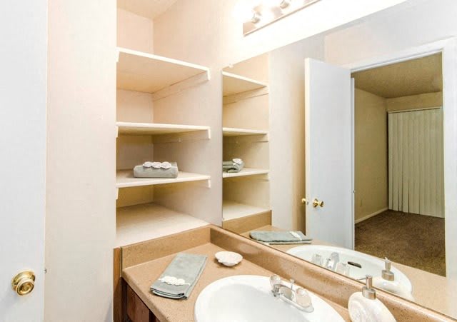 City Pines Apartment Homes bathroom vanity and storage - Longview, TX