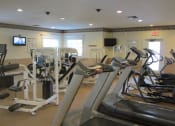Thumbnail 28 of 28 - Workout Facility Allegro Palm Riverview Florida