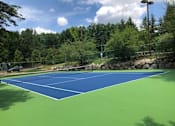 Thumbnail 11 of 33 - Play Tennis on our Court