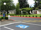Thumbnail 9 of 11 - landscaping