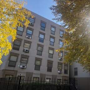 A tree with yellow leaves is in front of a building with a black fence.