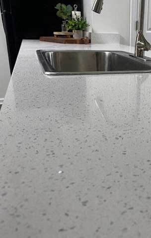 A kitchen counter with a sink and a plant on it.