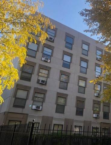 A tree with yellow leaves is in front of a building with a black fence.