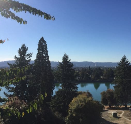 a view of a lake and trees with mountains in the background