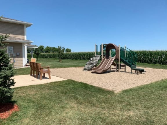 a playground with a slide in a backyard
