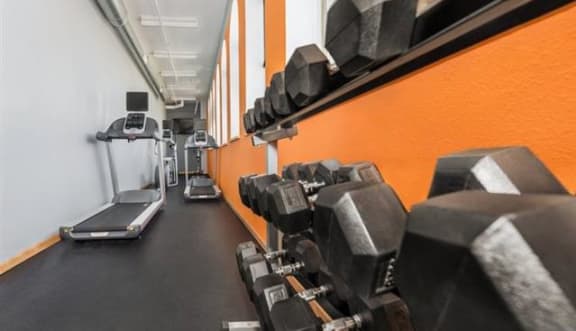 a gym with weights and a treadmill  at Boston Lofts, Milwaukee, 53203