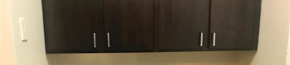 Dark and Bold Cabinetry
