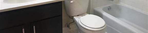 Bright Bathrooms